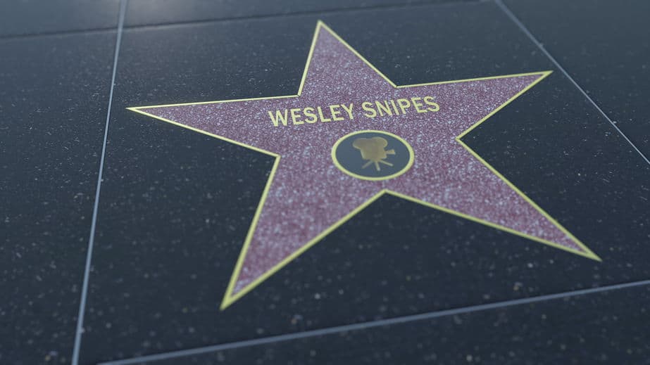 Wesley snipes Tax Evasion