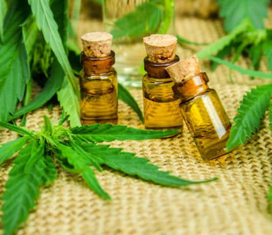 How to Start Your Very Own CBD Oil Business in a Few Easy Steps 13d7809dfbd9a9ee1478db06735e3c9d