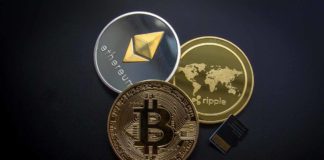 The Popular Cryptocurrency Platforms In The World The Popular Cryptocurrency Platforms In The World