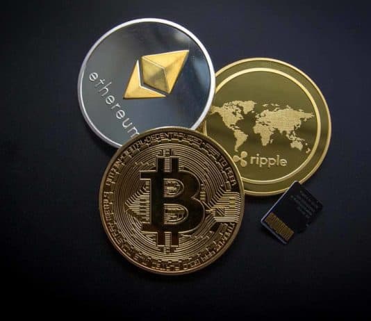 The Popular Cryptocurrency Platforms In The World The Popular Cryptocurrency Platforms In The World