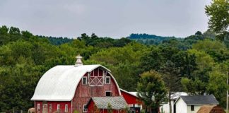 Wisconsin Farm Businesses Vying For Profitability In Trying Times Wisconsin Farm Businesses Vying For Profitability In Trying Times