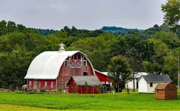 Wisconsin Farm Businesses Vying For Profitability In Trying Times Wisconsin Farm Businesses Vying For Profitability In Trying Times