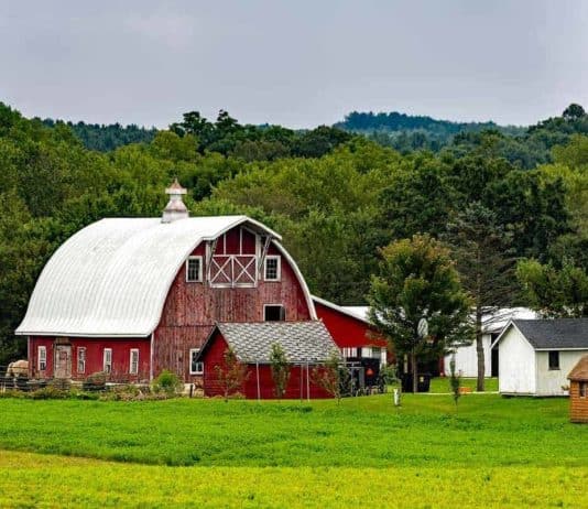 Wisconsin Farm Businesses Vying For Profitability In Trying Times Wisconsin Farm Businesses Vying For Profitability In Trying Times