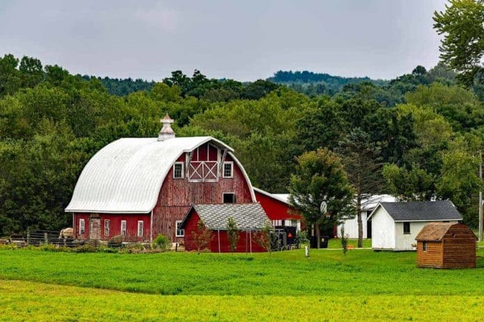 Wisconsin Farm Businesses Vying For Profitability In Trying Times