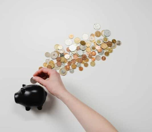 Who Is Investing In Promising Student Projects? Who Is Investing In Promising Student Projects