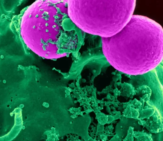 An Overview Of The Cell And Gene Therapy CDMO Industry In 2023 An Overview Of The Cell And Gene Therapy CDMO Industry In 2023