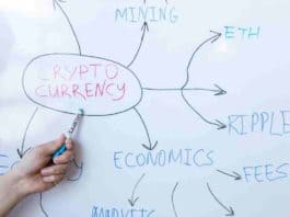 5 Common Challenges Forex Trading Newbies Face
