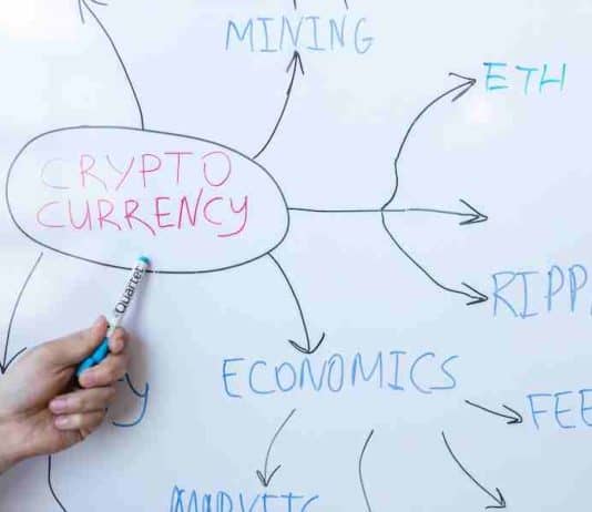 5 Common Challenges Forex Trading Newbies Face 5 Common Challenges Forex Trading Newbies Face