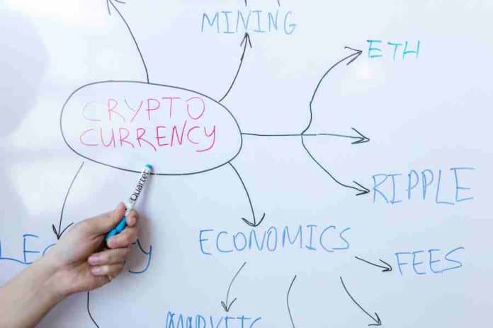 5 Common Challenges Forex Trading Newbies Face
