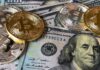 Reasons Why Every Company Needs A Crypto Wallet Reasons Why Every Company Needs A Crypto Wallet