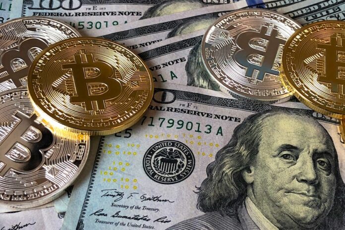 Reasons Why Every Company Needs A Crypto Wallet