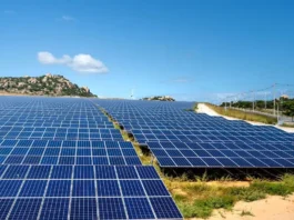 Business Energy Options