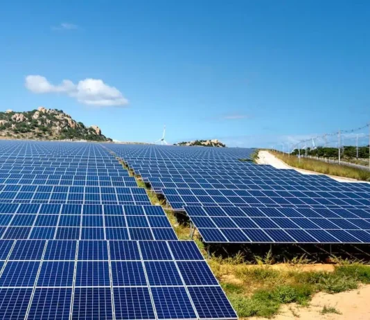 A Comprehensive Guide To Business Energy Options: Making Informed Choices For Your Company Business Energy Options