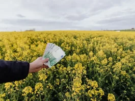 How Wise Investments Can Transform Your Financial Landscape