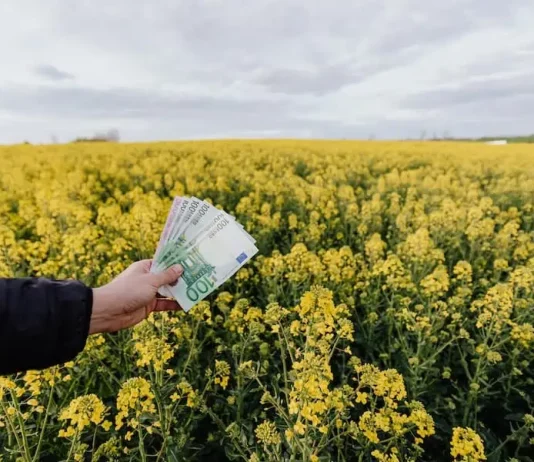 How Wise Investments Can Transform Your Financial Landscape: Our Top Tips How Wise Investments Can Transform Your Financial Landscape