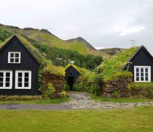 Do You Need A License To Sell Plants From Home? A Comprehensive Guide Do You Need A License To Sell Plants From Home