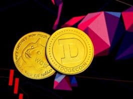 Dogecoin An Investor's Guide To The Potential Trading And Key Information
