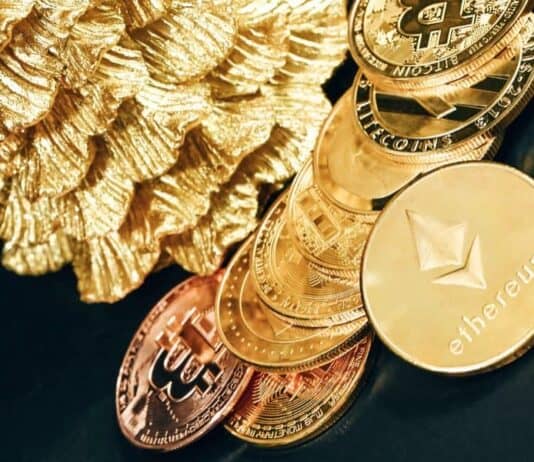 Beyond Bitcoin: Exploring The World Of Altcoins In 2023 Exploring The World Of Altcoins In 2023